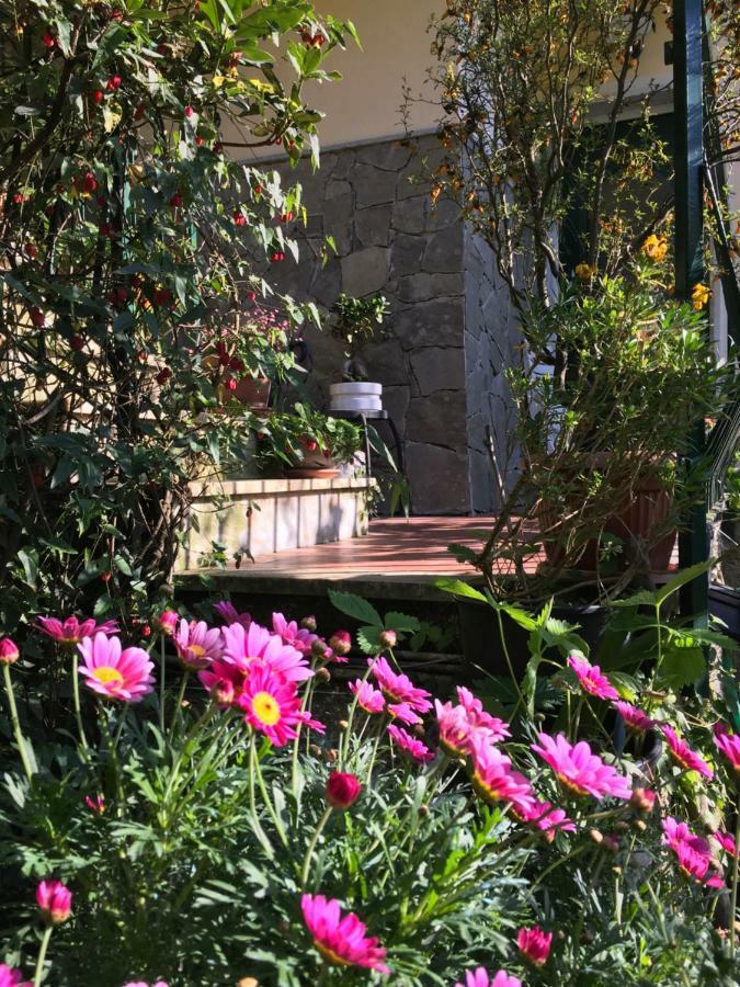 Il Nido Della Rondine Bed & Breakfast Leivi Exterior photo